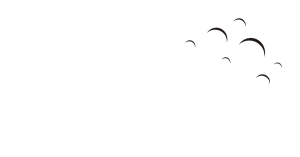 Brenda &M Cleaning